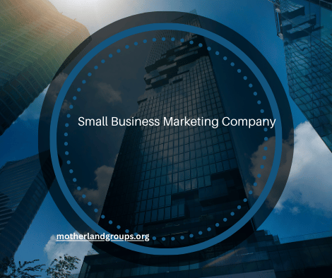 Small Business Marketing Company – Elevate Your Brand with Expert Strategies